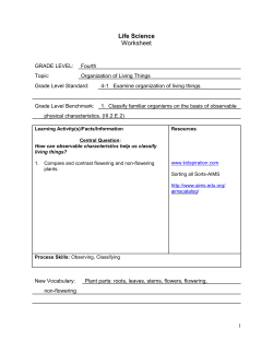 Life Science Worksheet