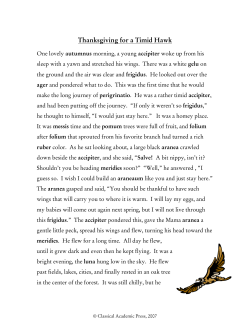 Thanksgiving for a Timid Hawk