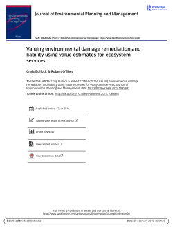 Valuing environmental damage remediation and liability using value
