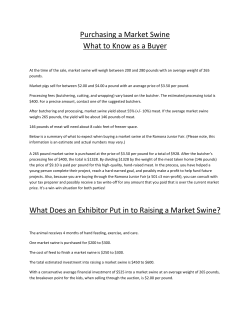 Market Swine (Pig) Buyer Information and Facts
