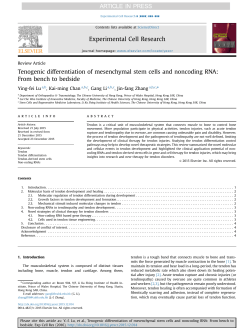 Lu YF, Li G, Chan KM, Zhang JF. Tendon