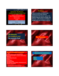 The Placenta