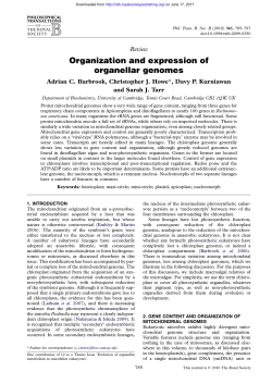Organization and expression of organellar genomes