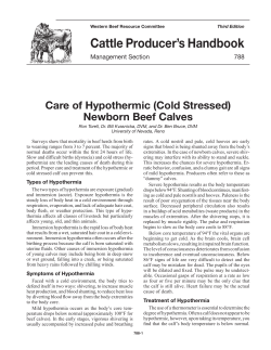 788-Care of Hypothermic Cold Stressed Newborn Beef Calves