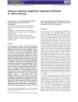 Quorum sensing negatively regulates chitinase - Promicrobe