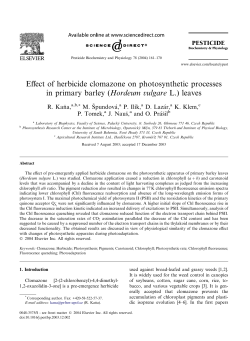 Effect of herbicide clomazone on photosynthetic processes in