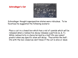 Schrodinger`s