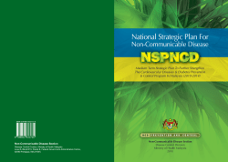 National Strategic Plan for Non-Communicable Diseases (2010