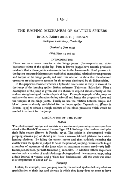 the jumping mechanism of salticid spiders