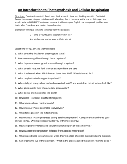 An Introduction to Photosynthesis and Cellular Respiration