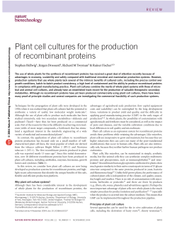 Plant cell cultures for the production of recombinant proteins