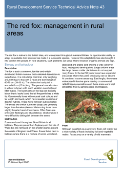 The red fox: management in rural areas