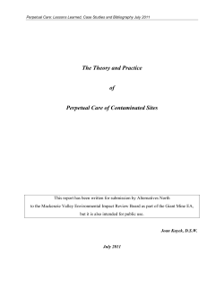 The Theory and Practice of Perpetual Care of Contaminated