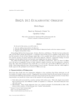 Bis2A 10.5 Eukaryotic Origins