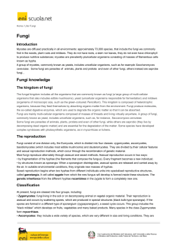 "Fungi" pdf file