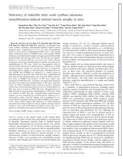 Full PDF - American Journal of Physiology