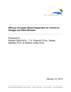 Efficacy of Copper Based Algaecides for Control of Quagga and