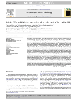 Role for CD74 and CXCR4 in clathrin