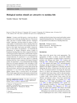 Biological motion stimuli are attractive to medaka fish | SpringerLink