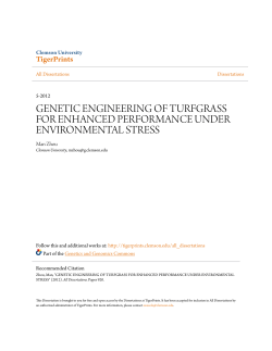 genetic engineering of turfgrass for enhanced
