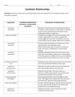 Symbiotic Relationships