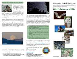 Light Pollution and Wildlife