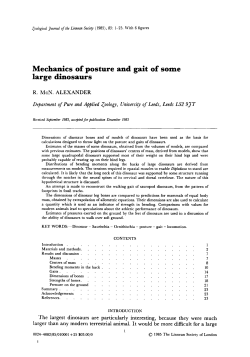 Mechanics of posture and gait of some large