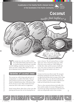 Coconut - Pacific Community
