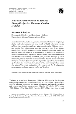 Male and Female Growth in Sexually Dimorphic Species: Harmony