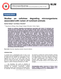 Studies on cellulose degrading microorganisms associated with