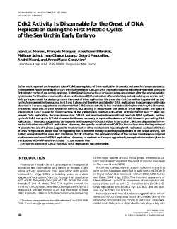 Cdk2 Activity Is Dispensable for the Onset of DNA Replication during