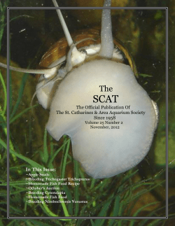 The SCAT - St. Catharines and Area Aquarium Society