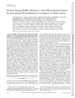 Protein kinase B/Akt activates c-Jun NH2