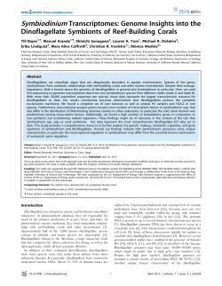 Symbiodinium Transcriptomes: Genome Insights