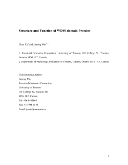 Structure and Function of WD40 domain Proteins