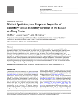 Distinct Spatiotemporal Response Properties of