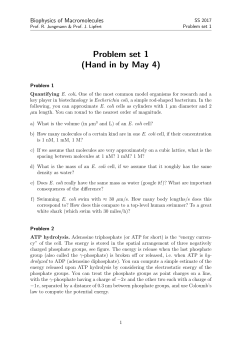 Biophysics of Macromolecules: Problem set 1