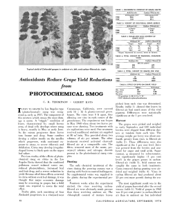 PHOTOCHEMICAL SMOG