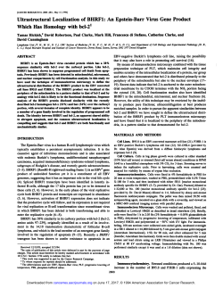 An Epstein-Barr Virus Gene Product Which Has