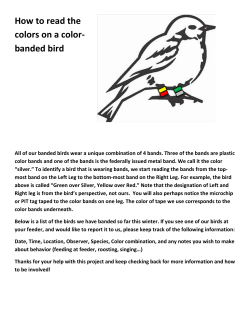 How to read the colors on a color- banded bird