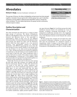 Alveolates - Instituto de Higiene