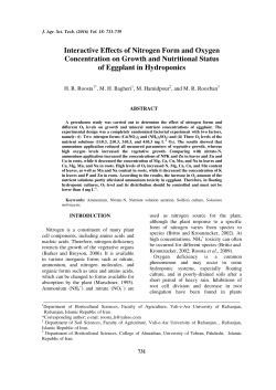 Interactive Effects of Nitrogen Form and Oxygen Concentration on