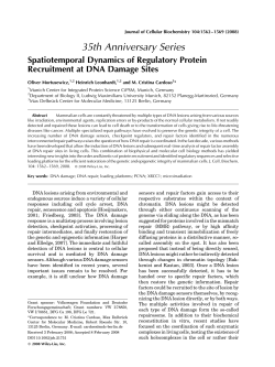 Spatiotemporal dynamics of regulatory protein recruitment at DNA