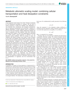 Metabolic allometric scaling model: combining cellular