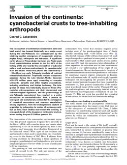 Invasion of the continents: cyanobacterial crusts to tree