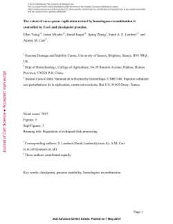 The extent of error-prone replication
