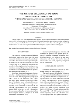 THE INFLUENCE OF LASER BEAM AND AUXINS ON ROOTING OF