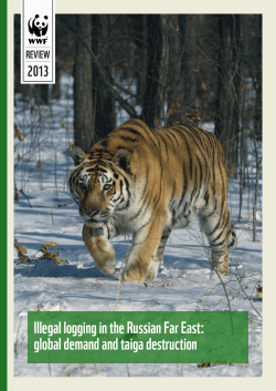 Illegal logging in the Russian Far East: global demand and taiga