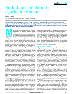 Feedback control of intercellular signalling in