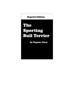 The Sporting Bull Terrier